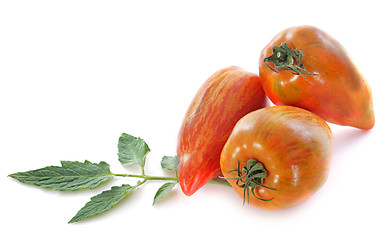 Image showing San Marzano tomatoes