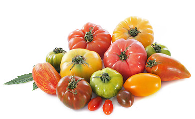 Image showing varieties of tomatoes