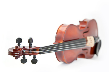 Image showing Violin