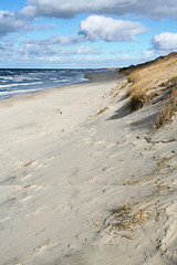 Image showing Coast of the Baltic Sea in winter on the Kurshskaya kosa