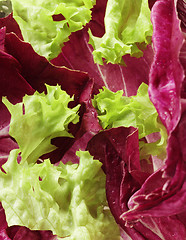 Image showing Lettuce close-up