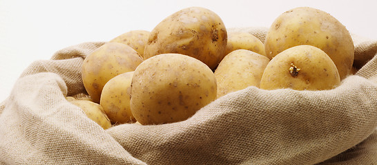 Image showing Top of potatobag