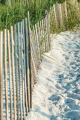 Image showing Dune Fence on Beach 