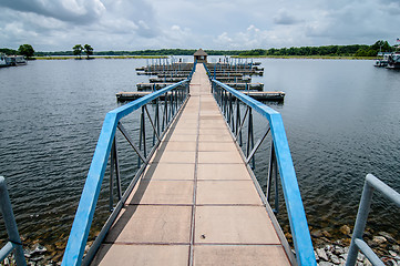 Image showing floating dock marina