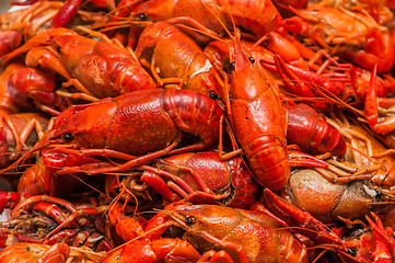 Image showing steamed crawfish