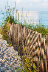 Image showing Dune Fence on Beach 