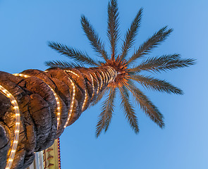 Image showing palm tree with lights