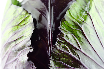 Image showing fresh red cabbage