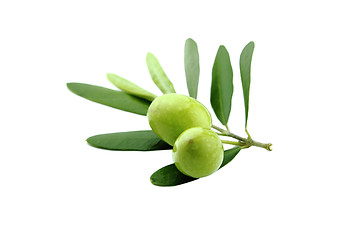 Image showing Green Olives