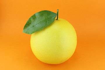 Image showing Grapefruit