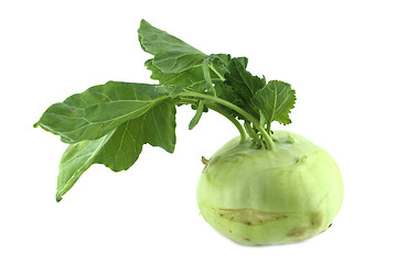 Image showing Cabbage kohlrabi