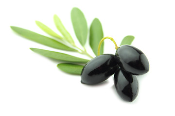 Image showing Black Olives