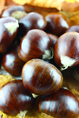 Image showing Sweet chestnuts