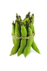 Image showing broad bean pods and beans