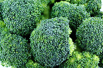 Image showing Fresh broccoli