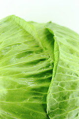 Image showing fresh green cabbage