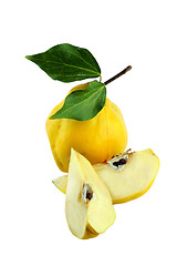 Image showing Sweet quinces