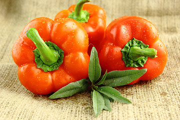 Image showing Red sweet pepper 