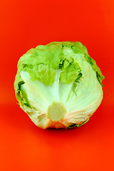 Image showing Green Iceberg lettuce