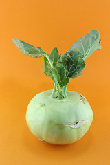 Image showing Cabbage kohlrabi