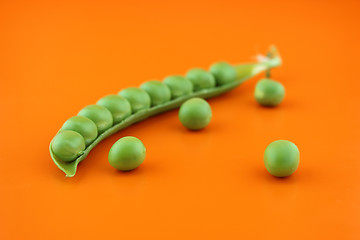 Image showing fresh pea