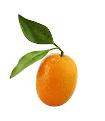 Image showing Small Orange Fruit