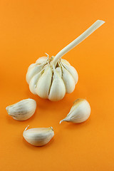 Image showing Garlic