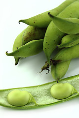 Image showing broad bean pods and beans