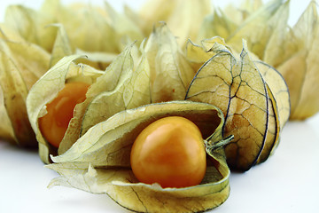 Image showing Cape gooseberry