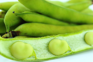 Image showing broad bean pods and beans