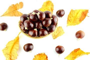 Image showing Sweet chestnuts