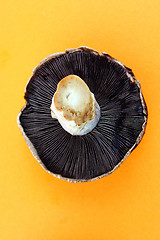 Image showing button mushrooms