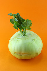 Image showing Cabbage kohlrabi