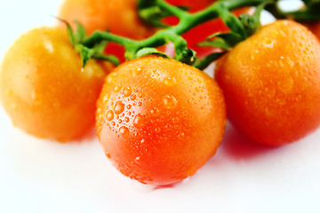 Image showing fresh cherry tomatoes