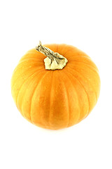 Image showing ripe pumpkin 