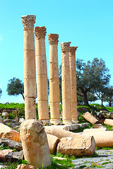 Image showing Umm Qais City