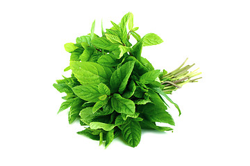 Image showing fresh mint leaves 