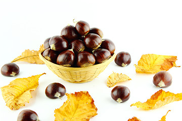 Image showing Sweet chestnuts