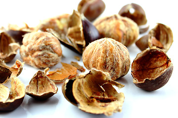 Image showing Sweet chestnuts