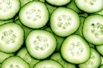 Image showing Fresh Cucumber 
