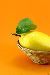 Image showing lemon