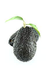 Image showing Avocados