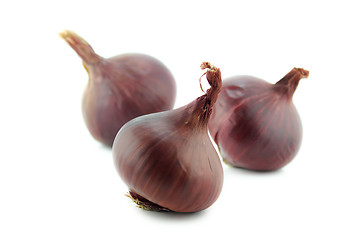 Image showing Ripe red onions