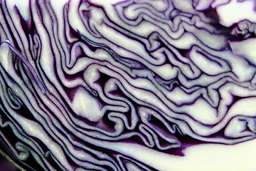 Image showing fresh red cabbage