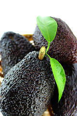 Image showing Avocados