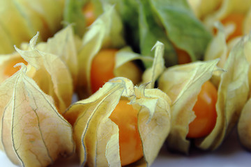 Image showing Cape gooseberry