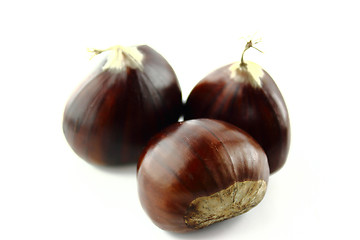 Image showing Sweet chestnuts