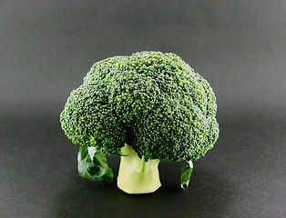 Image showing Fresh broccoli