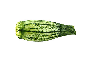 Image showing Fresh zucchini