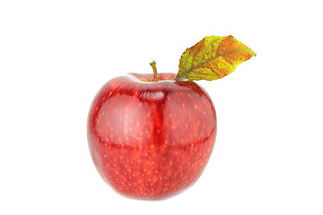 Image showing Fresh red apple 